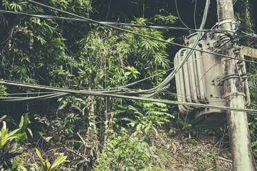 Brasilien, Rio de Janeiro, Corcovado, Elektrische Drähte mit Vegetation im Hintergrund - AMCF000008