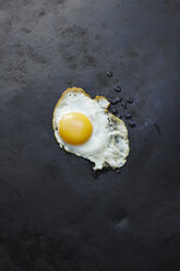 Fried egg - KSW001166