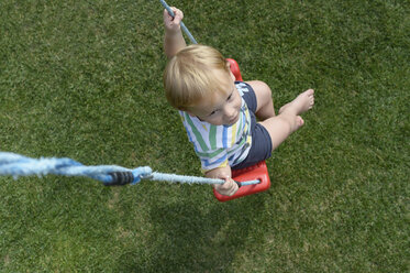 Little boy sitting on a swing in the garden - CRF002533