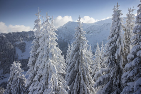 Germany, Bavaria, Sudelfeld, Mountains in winter stock photo