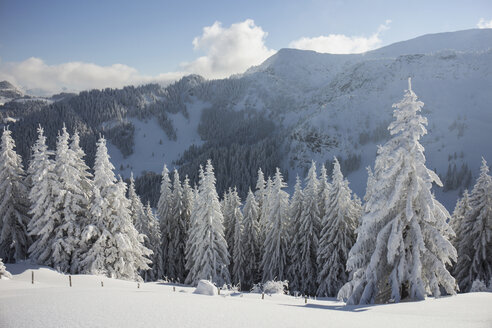 Germany, Bavaria, Sudelfeld, Mountains in winter - FFF001389