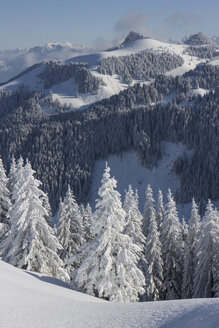 Germany, Bavaria, Sudelfeld, Mountains in winter - FFF001388