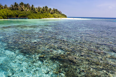 Malediven, Nord-Male-Atoll, Aisen, Korallen vor der Insel - AM001420