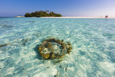 Malediven, Nord-Male-Atoll, Aisen, Korallen vor der Insel - AMF001419