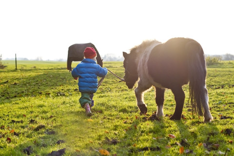 Kleines Mädchen mit Pony auf einer Wiese, lizenzfreies Stockfoto