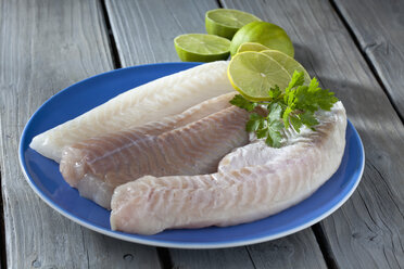 Fischfilets von Kabeljau, Seelachs und Rotbarsch mit Limettenscheiben auf blauem Teller - CSF020563