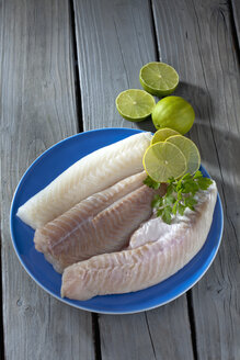 Fischfilets von Kabeljau, Seelachs und Rotbarsch mit Limettenscheiben auf blauem Teller - CSF020562