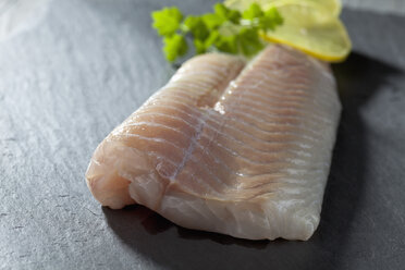 Fish fillet of coalfish with slices of lime on grey background - CSF020559