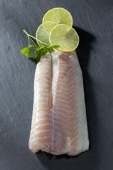 Fischfilet vom Seelachs mit Limettenscheiben auf grauem Hintergrund - CSF020558