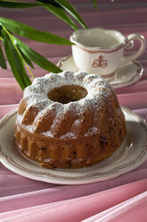 Selfmade ringcake with cranberries and apricots on baking with powdered sugar on well-laid table - CSF020528