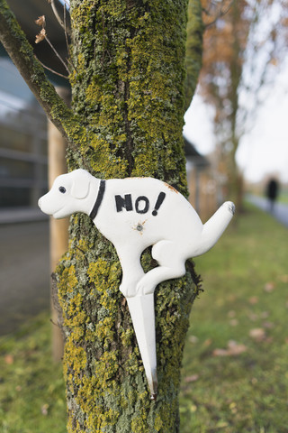Verbotsschild für Hundebesitzer am Baumstamm, lizenzfreies Stockfoto