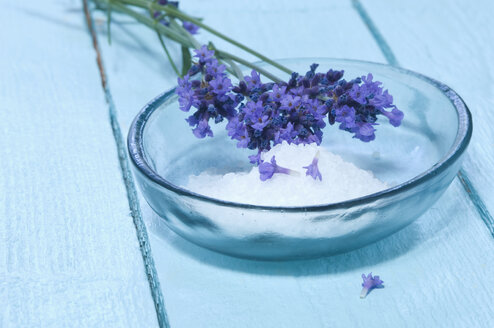 Lavendelblüten und eine Glasschale mit Badesalz auf hellblauem Holztisch - ASF005248