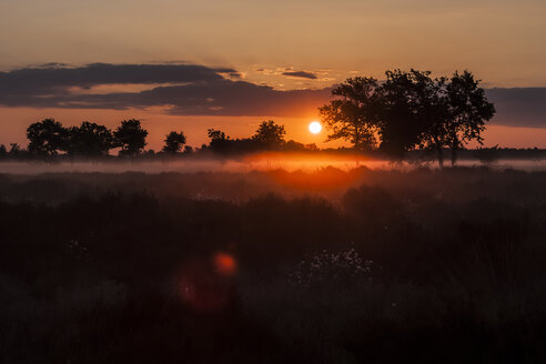 Deutschland, Nordrhein-Westfalen, Recker Moor, Landschaft bei Sonnenaufgang - PAF000110