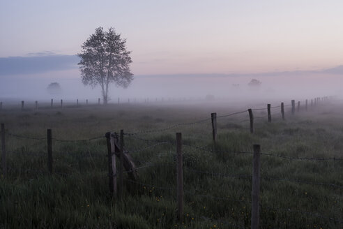Deutschland, Nordrhein-Westfalen, Recker Moor, Landschaft mit Feldern am Morgen - PAF000109