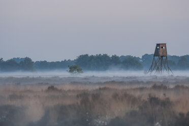 Deutschland, Nordrhein-Westfalen, Recker Moor, Landschaft mit Hochsitz im Morgennebel - PAF000106