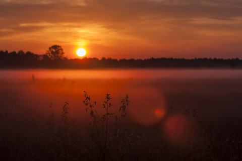 Germany, North Rhine-Westphalia, Recker Moor, Landscape at sunrise stock photo