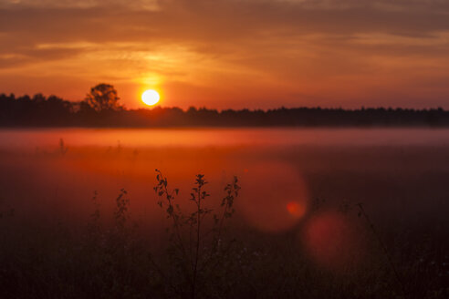 Deutschland, Nordrhein-Westfalen, Recker Moor, Landschaft bei Sonnenaufgang - PAF000103