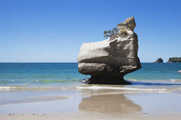 Neuseeland, Coromandel Peninsula, Cathedral Cove, Felsen am Strand - GWF002436