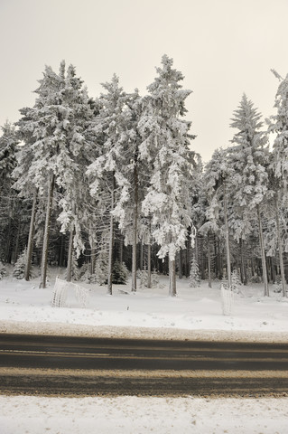 Deutschland, Thüringen, Oberhof, Wald und Straße im Winter, lizenzfreies Stockfoto