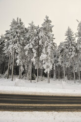 Deutschland, Thüringen, Oberhof, Wald und Straße im Winter - BR000014