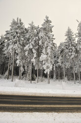 Germany, Thurinigia, Oberhof, Forest and road in winter - BR000014