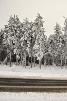 Deutschland, Thüringen, Oberhof, Wald und Straße im Winter - BR000014