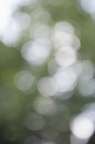 Objektivflackern vor grünem Hintergrund, lizenzfreies Stockfoto