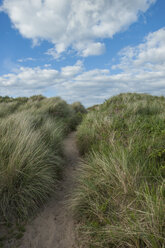 UK, Northumberland, Bamburgh, footpath through dunes - PAF000126