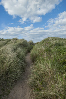 UK, Northumberland, Bamburgh, Wanderweg durch die Dünen - PAF000126