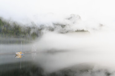 Kanada, Britisch-Kolumbien, Khutzeymateen Valley, Khutzeymateen Provincial Park, Fjord mit Nebel - FO005417