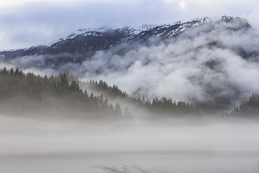 Kanada, Britisch-Kolumbien, Khutzeymateen Valley, Khutzeymateen Provincial Park, Fjord mit Nebel - FOF005420