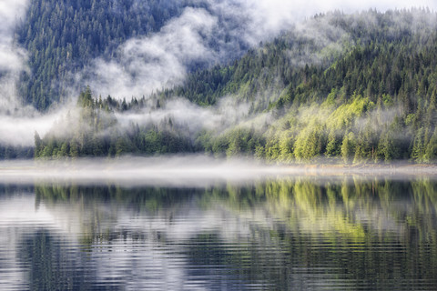 Canada, British Columbia, Khutzeymateen Valley, Khutzeymateen Provincial Park, fjord with fog stock photo