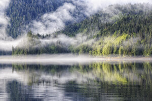 Kanada, Britisch-Kolumbien, Khutzeymateen Valley, Khutzeymateen Provincial Park, Fjord mit Nebel - FOF005422