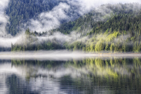 Canada, British Columbia, Khutzeymateen Valley, Khutzeymateen Provincial Park, fjord with fog - FOF005422