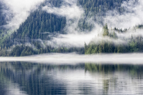 Kanada, Britisch-Kolumbien, Khutzeymateen Valley, Khutzeymateen Provincial Park, Fjord mit Nebel, lizenzfreies Stockfoto