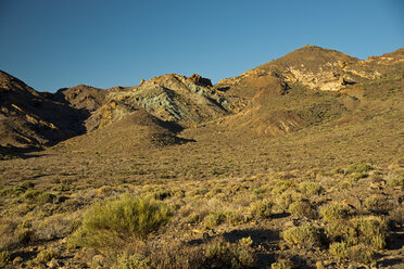 Spain, Canary Islands, Tenerife, Canadas del Teide National Park - WGF000165