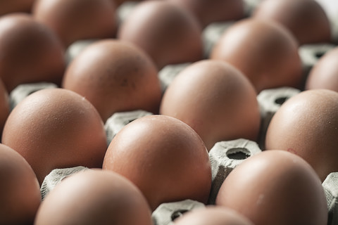 Brown eggs on egg carton, close-up stock photo