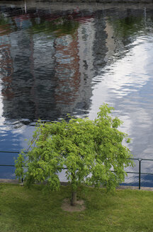 Sweden, Halmstad, single tree and water reflection at Nissan river - VI000226