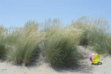 Italien, Stranddünen am Adriatischen Meer mit Strandball - ASF005257