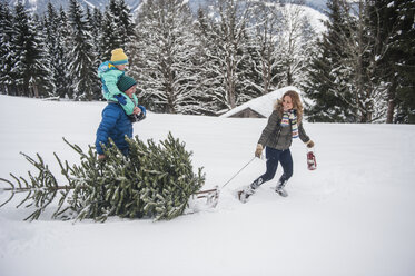 Österreich, Salzburger Land, Altenmarkt-Zauchensee, Familie geht im Schnee spazieren, trägt Weihnachtsbaum - HHF004667