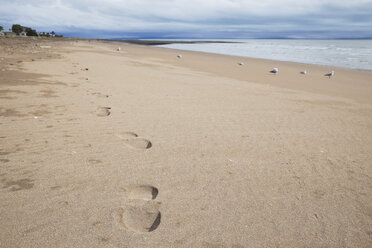 Neuseeland, Coromandel Peninsula, Fußspuren am Strand - GWF002432