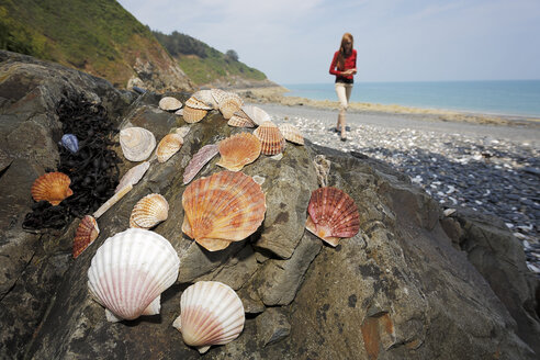 Frankreich, Bretagne, Strand von Pordic, Tourist sammelt Muscheln - BIF000204