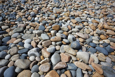 France, Bretagne, Plougrescant, Pebbles on beach - BIF000237