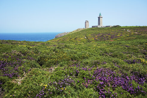 Frankreich, Bretagne, Cap Frehel, Leuchtturm und Landschaft mit Stechginster und Heidekraut - BIF000248