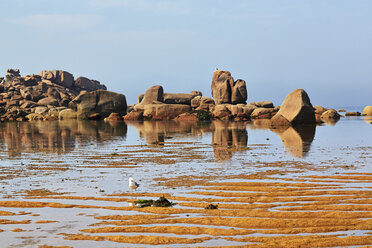 Frankreich, Bretagne, Tregastel, Granitküste - BIF000218