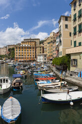 Italien, Ligurien, Camogli, Boote im Hafen - AMF001523