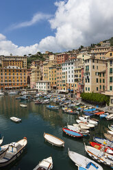 Italy, Liguria, Camogli, Boats in harbour - AMF001524