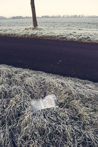 Germany, Baden-Wuerttemberg, Tuebingen, Einsiedel, discarded calendar at roadside ditch stock photo