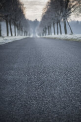 Deutschland, Baden-Württemberg, Tuebingen, Einsiedel, Allee im Winter am Morgen - LVF000413