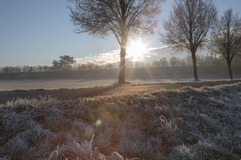 Deutschland, Baden-Württemberg, Tübingen, Einsiedel, Allee im Winter bei Sonnenaufgang, lizenzfreies Stockfoto